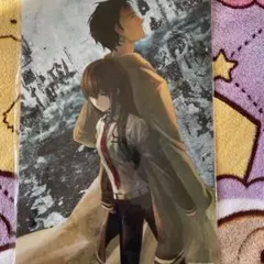 シュタインズゲート A3クリアポスター 牧瀬紅莉栖 岡部倫太郎 - メルカリ