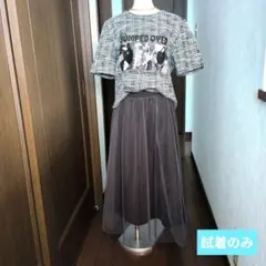 試着のみ　未使用品　春夏秋冬　シアーグレーカラーロングスカート