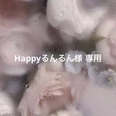 Happy るんるん様 専用
