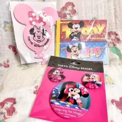 ディズニーリゾート☆パルパルーザ ミニー☆イマジニングザマジック 缶バッジセット