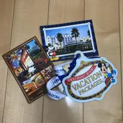 Disney AMBASSADOR HOTEL パスケース