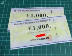 ビックカメラ 株主優待券 2000円分 2026年5月31日まで