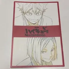 劇場版 ハイキュー ゴミ捨て場の決戦 入場者特典 限定パンフレット