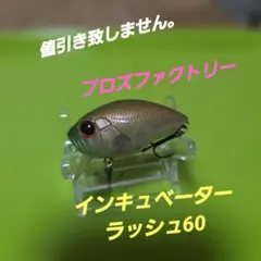 2026年最新】インキュベーターラッシュの人気アイテム - メルカリ