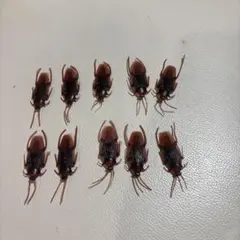 Item thumbnail for item e4016d0b-f420-42fa-b625-4d396ff8d49f