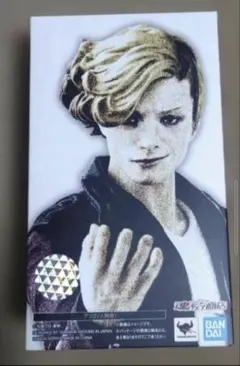 2026年最新】s.h.figuarts アンクの人気アイテム - メルカリ