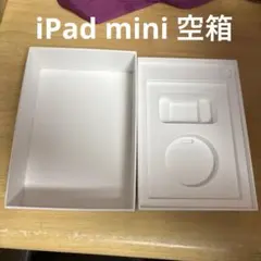 iPad mini 空箱