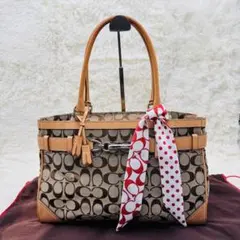 美品　COACH コーチ シグネチャー ハンドバッグJ05J-8K07
