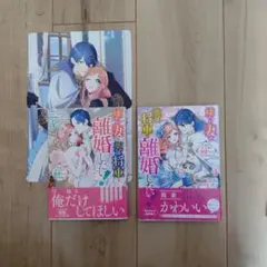 嫌われ妻は英雄将軍と離婚したい　③④　特典