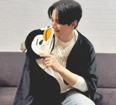 2026年最新】junho クッションの人気アイテム - メルカリ