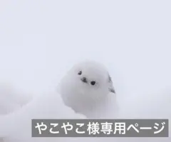 やこやこ様 リクエスト 3点 まとめ商品