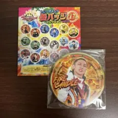 ナンバーワン戦隊 ゴジュウジャー ファイヤキャンドル 缶バッジコレクション