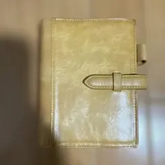 Item thumbnail for item ca046100-e7b1-4a0d-913b-79e06d662d79