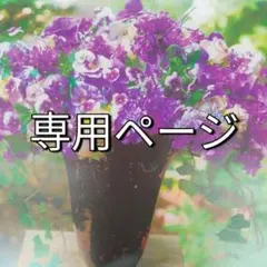 ゆぅり様 専用/3