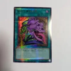 遊戯王　強欲で貪欲な壺　25th 3枚セット 数多のデュエルシーンで活躍した「壺」カードたちが手のひらサイズの