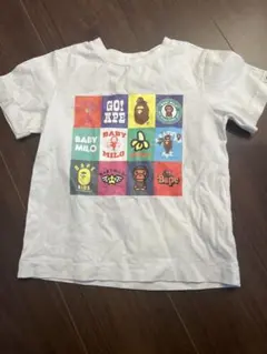 Item thumbnail for item ff943938-a012-4e1b-8fab-c0612b7f31d0