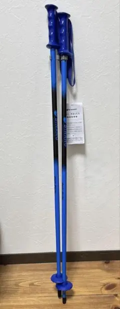 シナノ SINANO ペアポール スキーストックブルー 80cm 2本セット