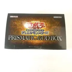 2025年最新】プリズマティックゴッドボックス 未開封の人気アイテム