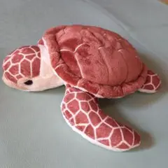 海遊館 ウミガメ ぬいぐるみ