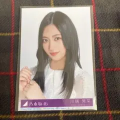 Item thumbnail for item b5697f4f-1cda-41e3-a541-d5021b53e537