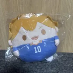 ハイキュー!! ぬいくじ Ｃ賞 日向翔陽