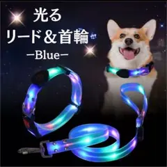 光る 首輪　リード　USB LED 充電式　安全 散歩 グッズ　セット　ブルー