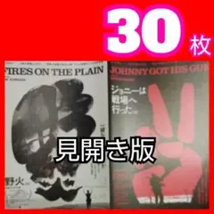 ｚｄｐ ジョニーは戦場へ行った 野火 フライヤー 4K 2025