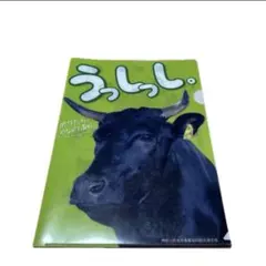 Item thumbnail for item a8eb331d-1bdc-4684-8cd1-a68188a29117