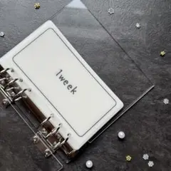 Item thumbnail for item a45bbce5-c891-420a-901f-d7969f19af74