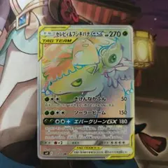 セレビィ&フシギバナgxのサムネイル
