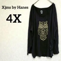 希少✨ jms by Hanes 【4X】Vネック長袖Tシャツ 黒フクロウ柄