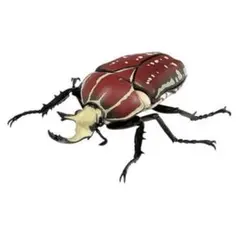 Item thumbnail for item 9909ebba-bad1-4cc2-9137-30cfb0758a93