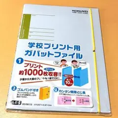 新品★コクヨ★KOKUYO★学校プリント用ガバットファイルA4縦 1000枚 青のサムネイル