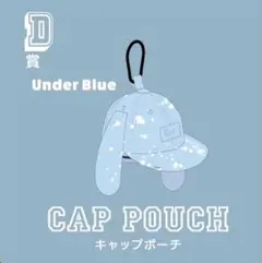 Eve UNDERCOVER くじ ステッカー タオルアクキー レザートレイ等