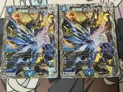 飛翔龍 5000VT 銀トレ　2枚