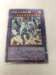 25th 青眼の双爆裂龍 青眼の精霊龍 カード セット Amazon.co.jp: 遊戯王カード 青眼の双爆裂龍(25th シークレット