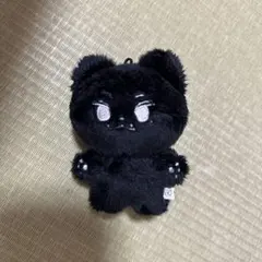 seventeen JUN ジュン ぬいぐるみ 10cm マスター seventeen セブチ ジュン ぬいぐるみ ドール マスター 10cm