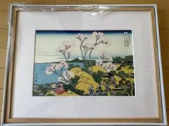 希少・完売品】ドラえもん 名所江戸百景 浅草金龍山 浮世絵木版画