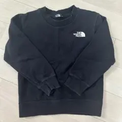 ザノースフェイス 100