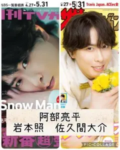 TV誌2誌　阿部亮平　岩本照　佐久間大介　切り抜き