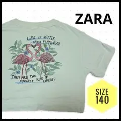 ZARA 水色 フラミンゴ Tシャツ 140 半袖 プリント