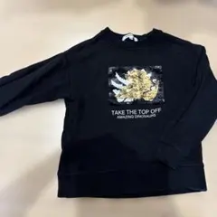 恐竜 スパンコール