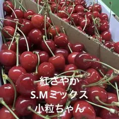 山形県さくらんぼ ＊紅さやか 1kg◎S.Mミックス 小粒ちゃんのサムネイル