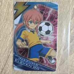 イナズマイレブン 霧野 ネームプレート イナズマイレブンGO 霧野蘭丸 アクリルネームプレート ホーリーロード
