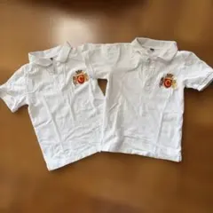 ポロシャツ 白 120cm 2枚セット 胸元に刺繍　Tシャツ