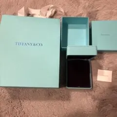 Tiffany & Co. アクセサリーケース