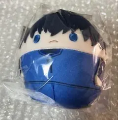2025年最新】ふわコロりん ブルーロック 凛の人気アイテム - メルカリ