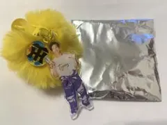 阪神タイガース　ガラコロ　TORACO C賞　キーリングハンガー　湯浅京己選手