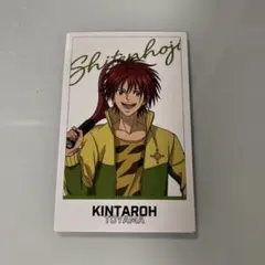 テニプリ テニフェス ポラショット 遠山金太郎