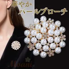 Item thumbnail for item 68ea2af7-06aa-43a6-b4c1-a99e602e2a5e